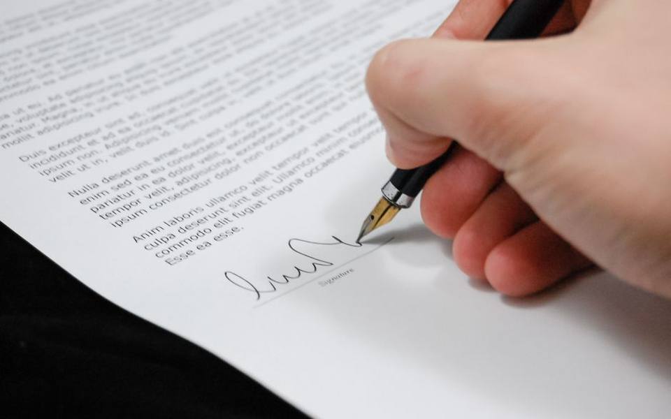 Distinguishing Corporate Charters from Limited Liability Company Filings